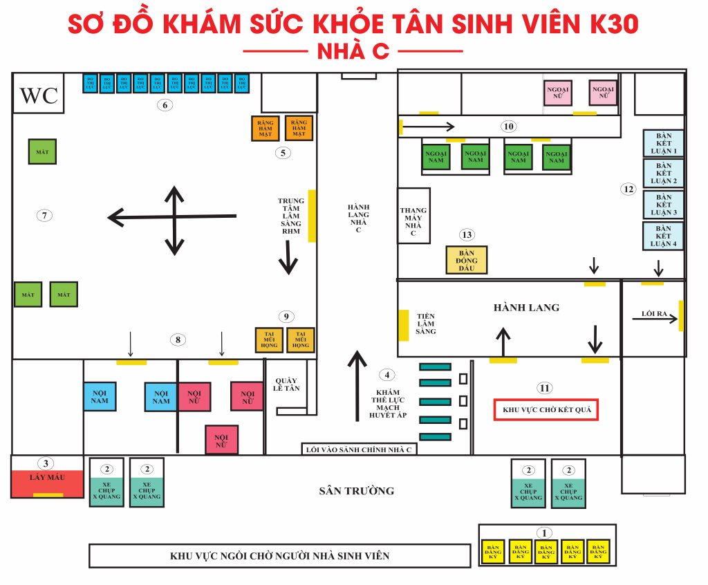 Sơ đồ khám sức khỏe